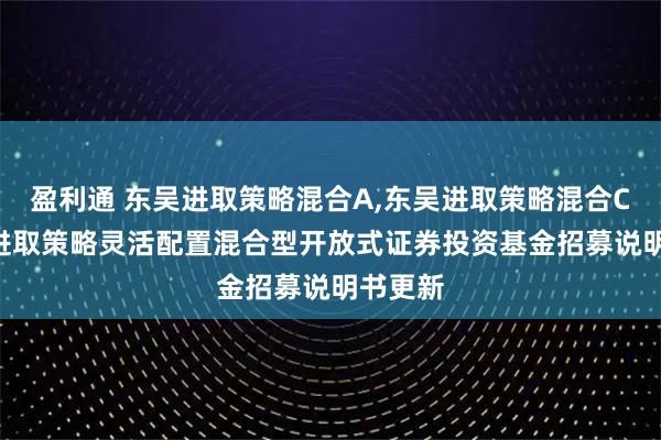 盈利通 东吴进取策略混合A,东吴进取策略混合C: 东吴进取策略灵活配置混合型开放式证券投资基金招募说明书更新