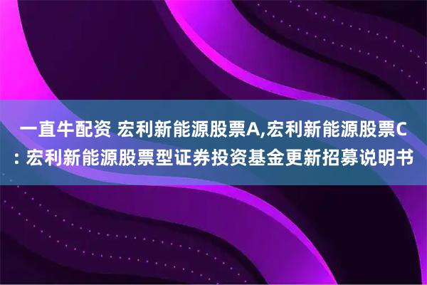 一直牛配资 宏利新能源股票A,宏利新能源股票C: 宏利新能源股票型证券投资基金更新招募说明书