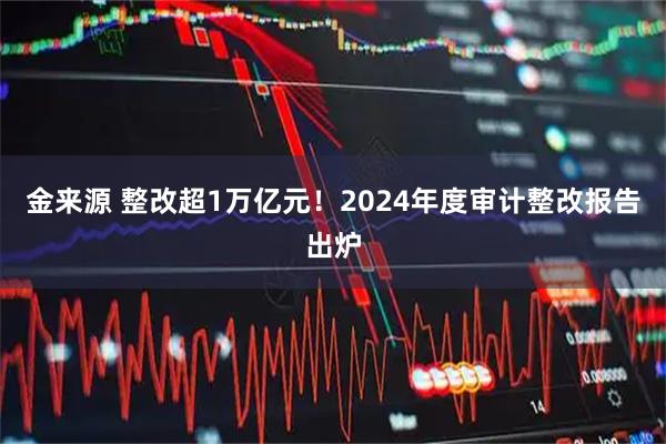 金来源 整改超1万亿元！2024年度审计整改报告出炉